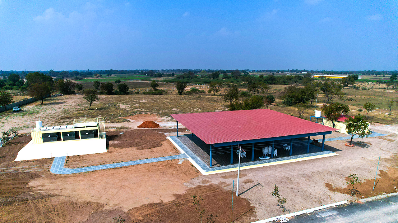 Vista Springs Sandalwood Farm