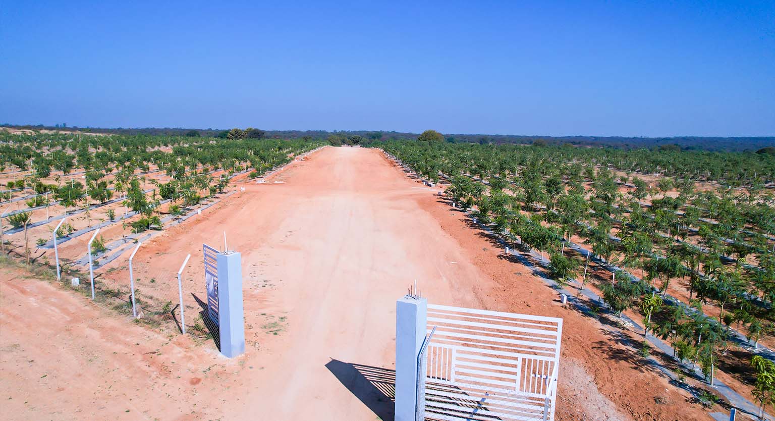 usm-infra-go valley-sandalwood-dtcp-plots-salvapur-8