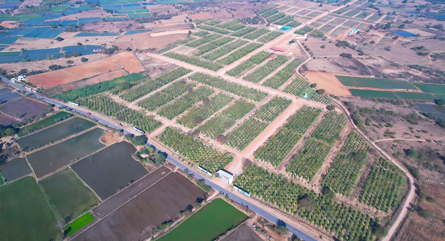 usm-infra-go valley-sandalwood-dtcp-plots-salvapur-13.