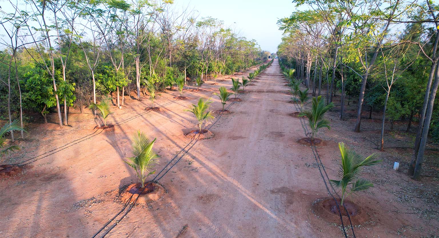 usm-infra-go-ranch-resort-sandalwood-dtcp-plots-12