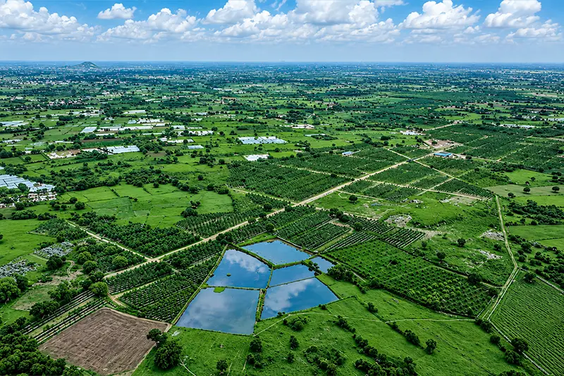 usm-infra-go-valley-sandalwood-dtcp-plots-5