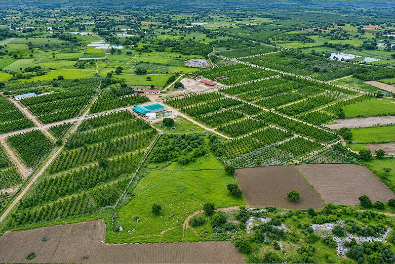usm-infra-go-valley-sandalwood-dtcp-plots-11