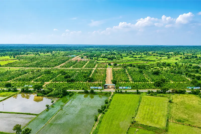 usm-infra-go-valley-sandalwood-dtcp-plots-16