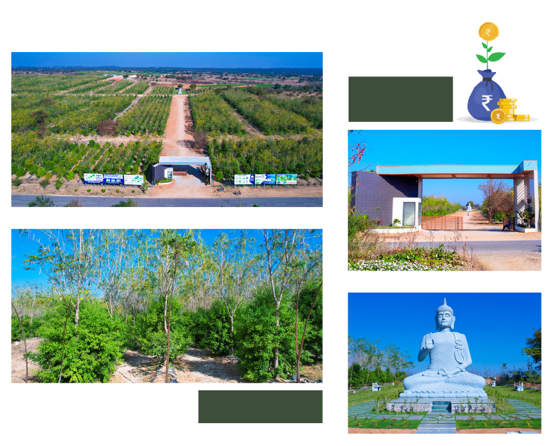 High-Return Investment Plots Available Now - USM Infra Go Valley near Yadagirigutta, Hyderabad