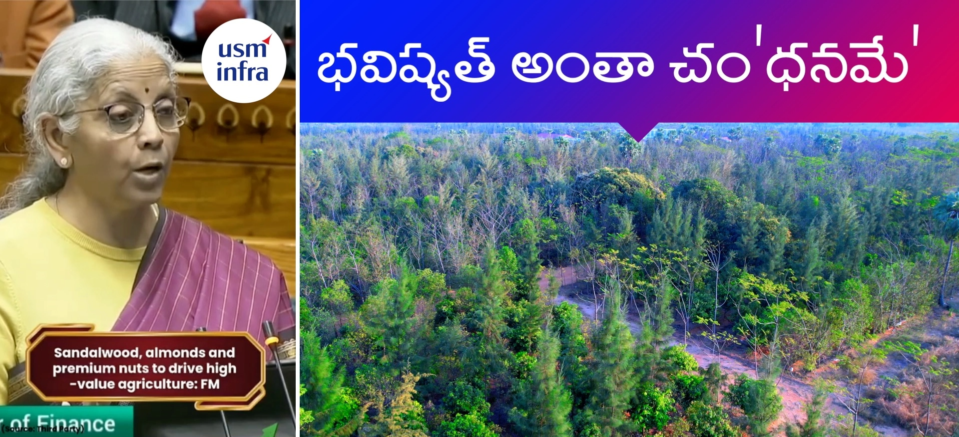 Vista Springs Sandalwood Farm