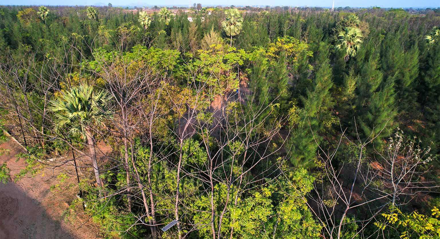 usm-infra-go-ranch-resort-sandalwood-dtcp-plots-11