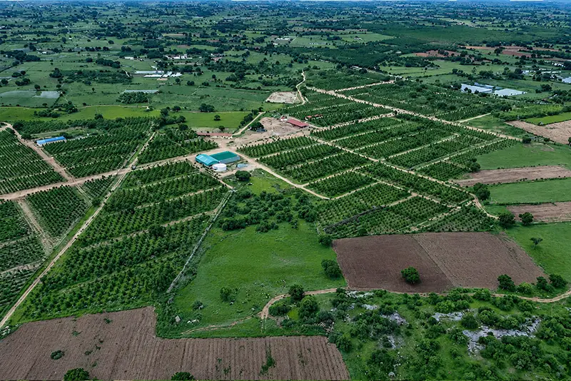 usm-infra-go-valley-sandalwood-dtcp-plots-3