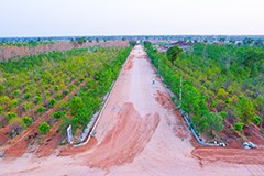 Invest in the best sandalwood farm plots in Hyderabad, Telangana. Benefit from share profit after growth, offering a profitable and sustainable investment opportunity.