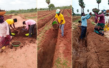 Pesticide and Drip Irrigation Work for Plantation | USM Infra Go Ranch Sandalwood Farm Plots