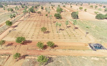 400+ Acres DTCP Approved Sandalwood Project Plots for Sale in Aler Near Yadagirigutta