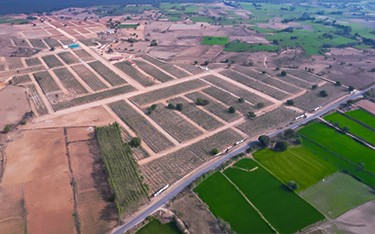 Premium sandalwood DTCP-approved plots for sale at USM Infra Go Valley near Hyderabad, offering a green investment opportunity