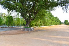 USM Infra's Go Ranch project featuring significant real estate and infrastructure advancements. Discover high-return investment opportunities and strategic growth prospects in this promising development