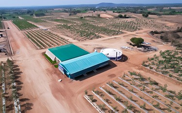 Efficient water tank and drip irrigation system at Go Valley Sandalwood Farm Plots, Hyderabad, ensuring sustainable plant growth