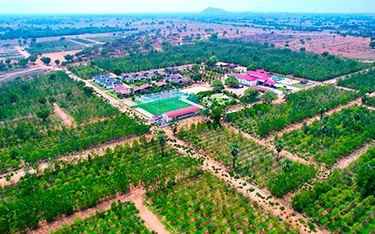 Best DTCP approved sandalwood farm plots near Hyderabad – Premium investment opportunities with high returns