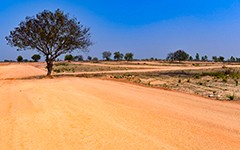 Go Valley sandalwood DTCP plots near Yadagirigutta for investment and cultivation