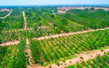 USM Infra Go Ranch | 450+ Acres Mega Project Near Yadagirigutta – Sandalwood Farm Plots for Sale Near Hyderabad with Gated Community Amenities