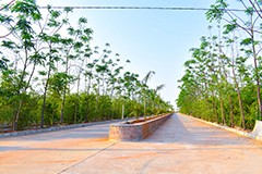 USM Infra Go Ranch Project – Largest sandalwood farm project in Telangana with over 400 acres near Yadagirigutta