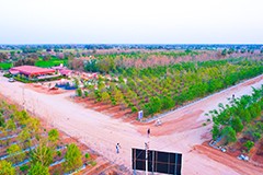 Explore investment opportunities in our sandalwood farm near Yadadri, Hyderabad. Secure your stake in a profitable and sustainable venture with premium plots in a prime location.