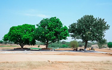 Rachabanda sitting area at USM Infra Go Valley, Salvapur, Hyderabad, offering a serene and traditional gathering spot