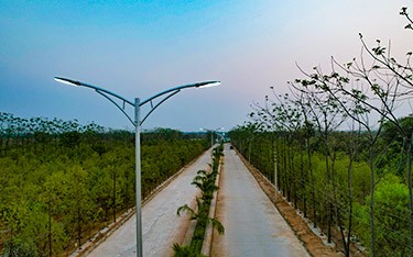 Entrance Beauty of USM Infra Go Ranch Sandalwood Farm Plots | Mega Project in 450+ Acres