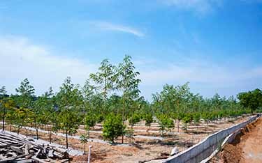 Premium DTCP-approved open plots for sale near Yadagirigutta, ideal for investment and future growth