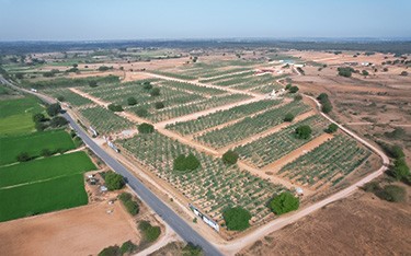 DTCP-approved sandalwood farm plots at Go Valley near Hyderabad, offering a sustainable and profitable investment