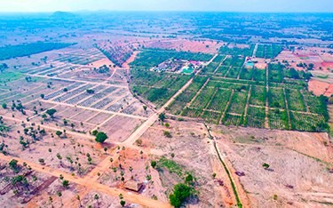Top farmland venture in Hyderabad – USM Infra Go Ranch 450+ acres of premium sandalwood farm plots near Yadagirigutta