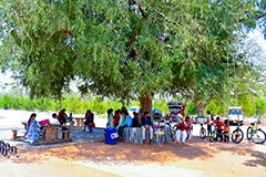 Sitting and Relaxing Areas to Enjoy the Peaceful Surroundings at USM Infra Go Ranch Resort Sandalwood Farm Plots