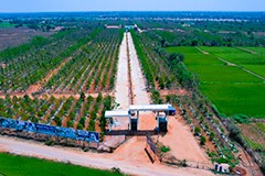 View the entrance gate construction at USM Infra Go Ranch's sandalwood farm plots. Our project features a well-designed entrance that reflects the quality and appeal of our premium plots.