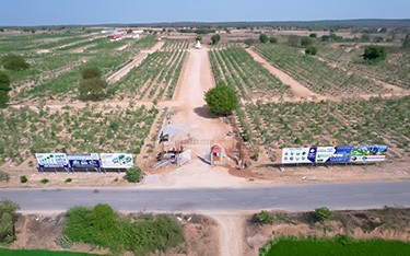 Premium sandalwood DTCP-approved plots for sale at USM Infra Go Valley near Hyderabad, offering a green investment opportunity