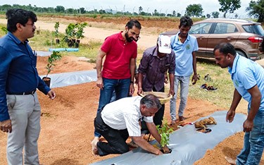 Sandalwood plantation process under IWST scientists at USM Infra Go Ranch