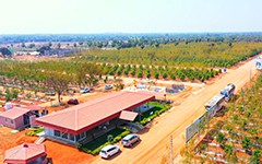 Sandalwood Farm Plots at USM Infra Go Ranch | Premium Investment Opportunity Near Hyderabad