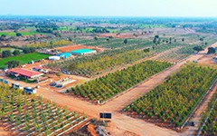 Explore open plots for sale in Aler with an exclusive offer of 15 years of free membership to a luxury resort. Ideal investment opportunity near Hyderabad, combining premium land ownership with resort benefits.