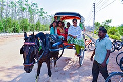 Enjoy a unique horse cart experience at USM Infra Go Ranch Resort's sandalwood farm plots. Explore the scenic beauty and lush surroundings in a charming and traditional way.