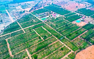 USM Infra Go Ranch Venture Plots – Prime location near Outer Ring Road, AIMS University, and Raheja IT Park