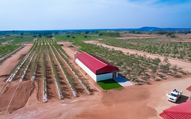 USM Infra Go Valley offering DTCP-approved sandalwood farm plots near Hyderabad, surrounded by lush greenery